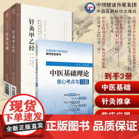 中医基础理论核心考点习题全国高等中医药院校教材配套用书针灸大成针灸甲乙经明杨继洲中医临床针灸基本功配穴刺血灸法诊疗病治法