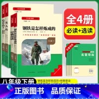 [八下必读+选读共4本](赠名著导练) 初中通用 [正版]初中必读名著骆驼祥子和钢铁是怎样练成的原著七八九年级下册上册经