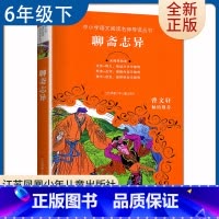 [正版]聊斋志异 好书伴我成长六年级下册选读书 6年级下好书 中小学语文阅读名师导读丛书 小学语文阅读书目 南通发货