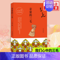 亲爱的三毛 [正版] 三毛作品全集典藏 撒哈拉的故事雨季不再来稻草人手记梦里花落知多少温柔的夜亲爱的三毛现当代文学世界名