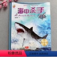 [正版]海中杀手硬壳精装绘本大图大字绘本揭秘海洋世界图书籍儿童趣味科普知识鲨鱼3-6-8-10岁青少年科学百科故事书小