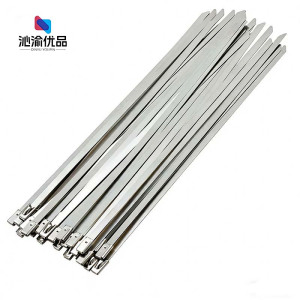 沁渝优品 不锈钢扎带 10*300mm 根