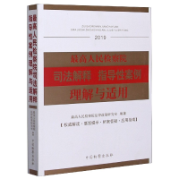 音像司法解释指导案例理解与适用(2019)法律政策研究室