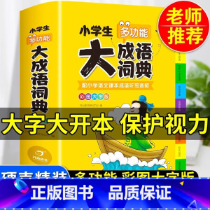 小学生多功能大成语词典 [正版]2024年小学生大成语词典小学多功能大全四字彩图彩色版解释书中华现代汉语词语工具书中小学