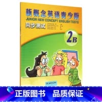 [正版]新概念英语青少版同步测试(附光盘2B)