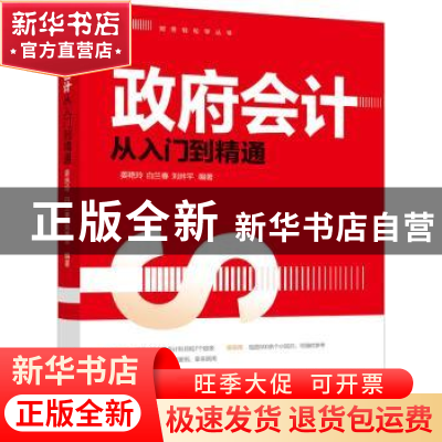 正版 政府会计从入门到精通 姜艳玲 白兰春 刘井平 机械工业出版
