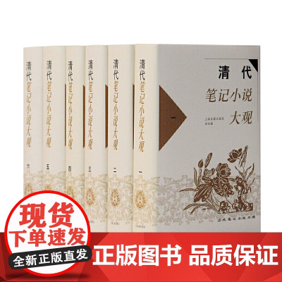 清代笔记小说大观 全六册 历代笔记小说大观 上海古籍出版社 编 古籍小说类 上海古籍出版社 小说书 正版书籍