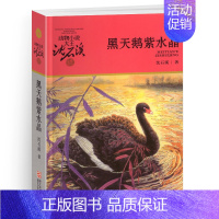 黑天鹅紫水晶 [正版]象母怨沈石溪小学四年级五年级全集全套书浙江少年儿童出版社非注音版完整版动物小说大王品藏书系小学生课