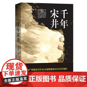 千年宋井
