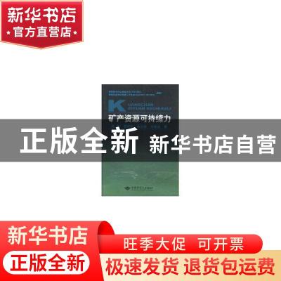 正版 矿产资源可持续力 余敬[等]著 中国地质大学出版社 978756