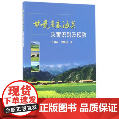 甘肃省春油菜灾害识别及预防