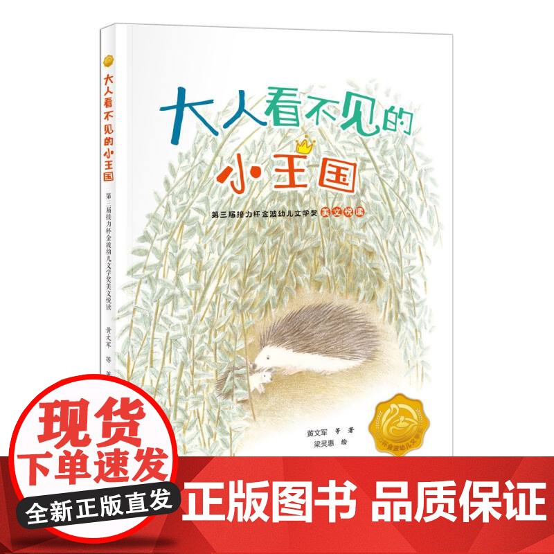 大人看不见的小王国 第三届接力杯金波幼儿文学奖美文悦读 6-12岁小学生儿童文学课外阅读书目童书少儿读物书籍正版