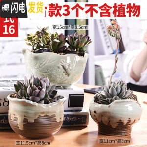 三维工匠多肉花盆陶瓷粗陶透气大口径大号盆栽创意小盆栽 款016套装016(3个) 中小花盆容器