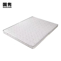 国隽 椰棕床垫 GJXC7751 1900*1200mm 张
