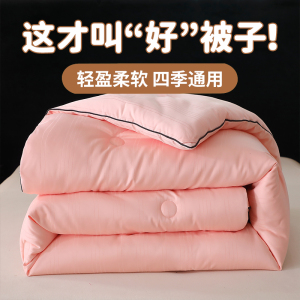 安琪尔静逸提花春冬被150*200cm条