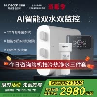 汉斯顿/Hunsdon净水器家用厨下式净水机家用直饮净水器C2净水器家用无桶双水大流量过滤器净水器