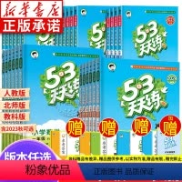 [正版]2024春季53天天练二三年级一四五六年级上册下册语文数学英语人教版北师大版教科版 5.3五三小学课外阅读理解