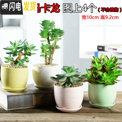 三维工匠多肉简约陶瓷绿植塑料创意紫砂复古粗陶多肉植物小花盆批发 带托盘马卡龙图上4个 小花盆容器