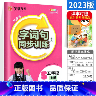 [特价抢]词句同步训练字帖五上 [正版]字帖写字课一二三四五六年级上册下册 下上语文英语同步练字帖一年级字帖练字小学生写
