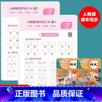 [二年级上下册]小学语文默写纸 [正版]小学生一年级语文默写纸二年级三上册看拼音写生字词语同步人教版每日一页拼音字母默写