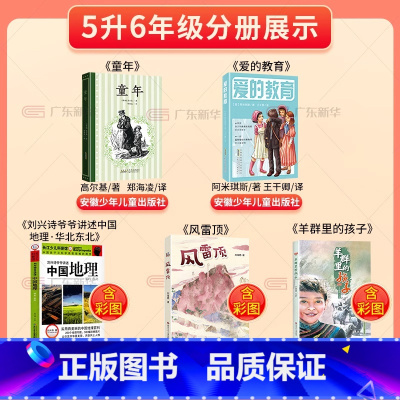[全5册].五升六年级 [正版]书店2024广东天天共读五升六年级上册 爱的教育童年书羊群里的孩子风雷顶刘兴诗爷爷讲述中