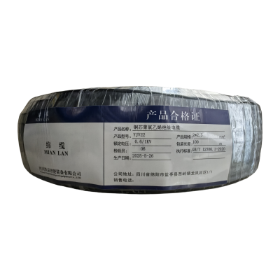 绵缆 铜芯聚氯乙烯绝缘电缆 YJV22-0.6/1kV-2*2.5 米