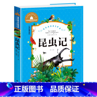 昆虫记 [正版]昆虫记法布尔彩图注音版儿童读物小学生课外阅读书籍一二三年级语文书目读书世界经典文学名著故事书带拼音1-2