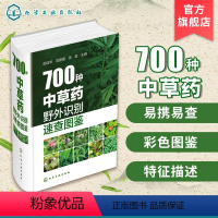 [正版]700种中草药野外识别速查图鉴 中草药彩图大全 中草药野外识别彩色图鉴 药剂学中医草药书 识别图全集 及栽培药