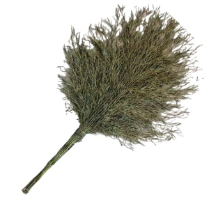 永满铁运 大扫帚 5斤 把