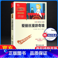 [正版] 爱丽丝漫游奇境 智慧熊 中小学中小学生阅读指导丛书 彩插励志版无障碍阅读 小学生阅读经典名著课外教辅书 商务