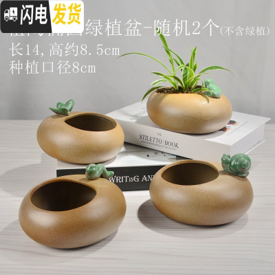 三维工匠陶瓷花盆多肉绿萝吊兰盆栽 家用阳台室内创意 粗陶椭圆-随机2个 中等花盆容器