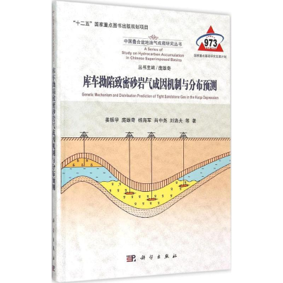 醉染图书库车坳陷致密砂岩气成因机制与分布预测9787030448170