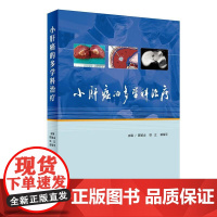 [清仓]小肝癌的多学科治疗 陈敏山,徐立,郭荣平 人民卫生出版社 9787117246170