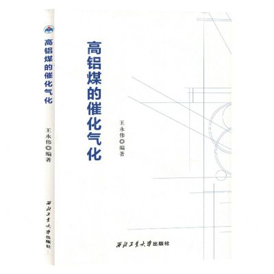 [N]高铝煤的催化气化-9787561287323