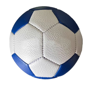 手球+跳绳+基本运动能力