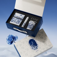 ApiYoo艾优 电动牙刷便携式成人男士女款情侣软毛生日礼物套装 元首瓷联名款青花瓷礼盒 T19(单位:件)