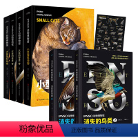 (6册)PNSO动物博物馆 [正版]PNSO动物博物馆大小型猫科动物大象的世界消失的鸟类精装恐龙百科全书百科恐龙书籍儿童