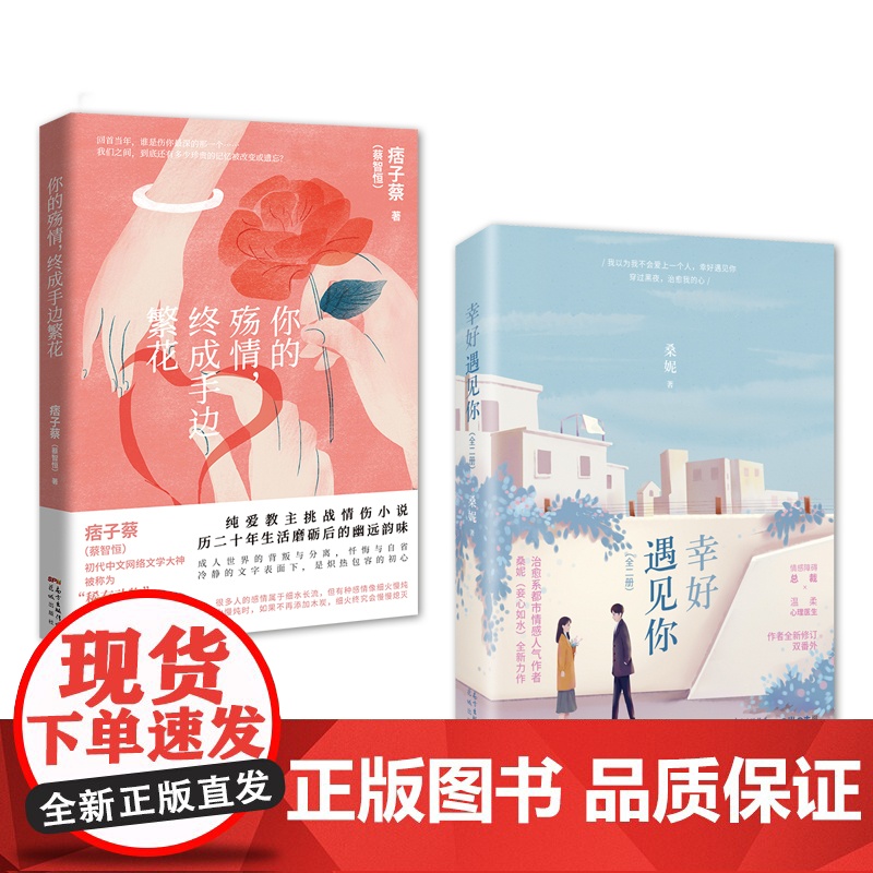 幸好遇见你+你的殇情终成手边繁花 网络文学爱情都市情感 桑妮,痞子蔡著 花城出版社正版书籍