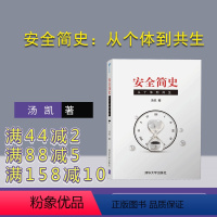 [正版] 安全简史:从个体到共生 汤凯 安全生产 企业流程 管理科学与工程