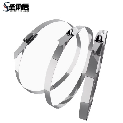 圣承启 理线带 19*650mm根