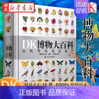 DK博物大百科 [正版]这才是有意思的中国史全套6册 趣说中国史儿童6-12岁小学生三四五六年级课外阅读书目中国历史类书