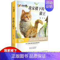 [正版]百年经典 儿童文学名家作品集:我家楼下的猫王 中小学语文课外阅读经典文库 阅读与鉴赏小学生课外阅读书 三四五六年