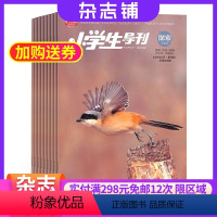 [正版]小学生导刊中年级(探索版)杂志订阅 2024年8月起订 杂志铺 1年共12期 小学生学习辅导期刊杂志书籍 全年