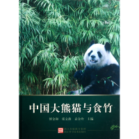 音像中国大熊猫与食竹(精)傅金和//张文燕//袁金玲