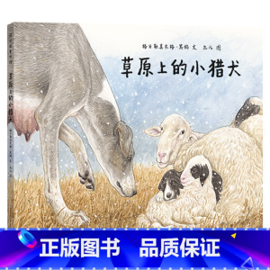 草原上的小猎犬(精装) [正版]草原上的小猎犬精装儿童绘本故事书0-3-6岁儿童绘本儿童文学小学生课外书阅读书籍 儿童课