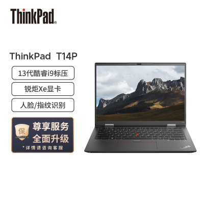 ThinkPad联想ThinkPad T14p 英特尔酷睿i9 14英寸高性能标压轻薄商务笔记本 13代酷睿(i9-13900H/16G/512G固态/锐炬Xe/2.2K屏)