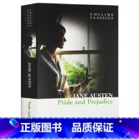 傲慢与偏见 [正版]灿烂千阳 英文原版小说 A Thousand Splendid Suns 英文版进口书The Kit