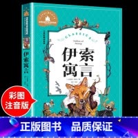 伊索寓言 [正版]兔子坡注音版 适合小学生一年级二年级三年级下册课外书的书目老师经典书籍上册儿童漫画绘本故事书全套新蕾出