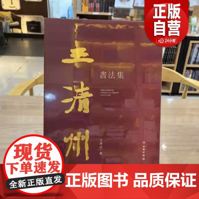 [正版]王清州书法集 王清州 著 文物出版社 9787501084210 正版书籍 zy