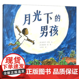 月光下的男孩 安特万·伊迪 著 儿童文学